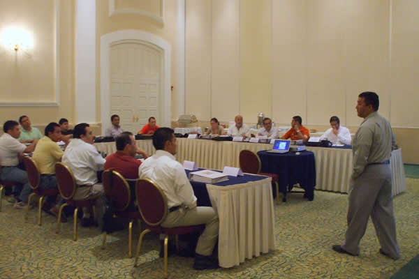 Inspector API 570 da capacitación de integridad mecánica en tuberías.